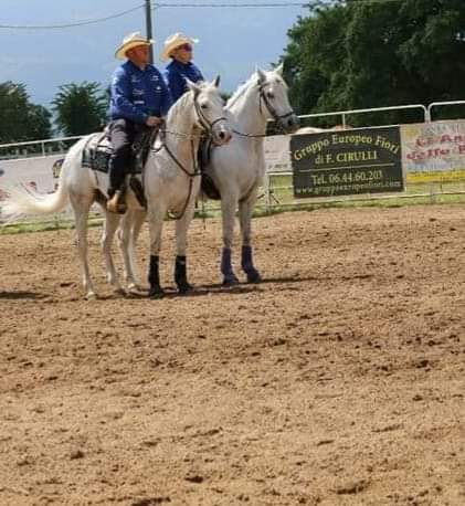 Asd Team Penning Rieti