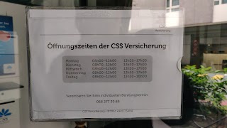 CSS Agentur Luzern