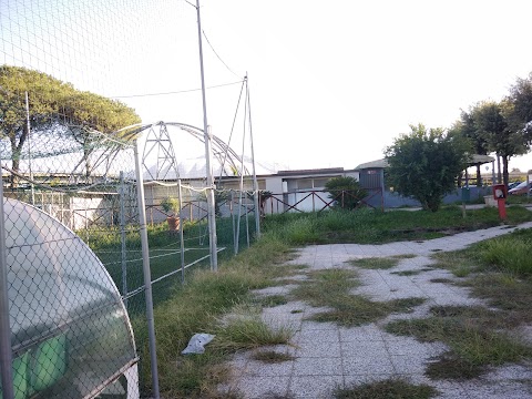 A.S.D. Quadrifoglio Sporting Center
