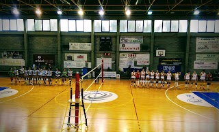 Elsasport Volley