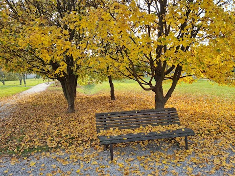 Parco Giochi - Gaggio