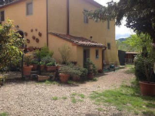 Allevamento Cani Firenze - Carlini del Poderuzzo nella Terra di Mezzo