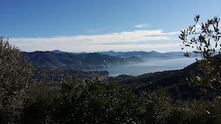 I.c. Santa Margherita Ligure