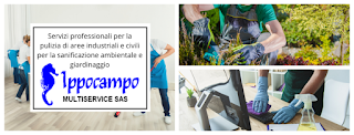 Ippocampo Multiservice Sas