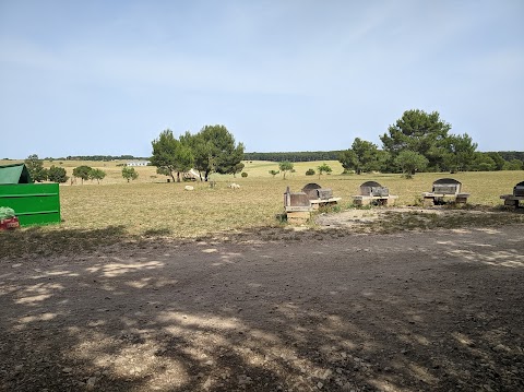 Agriturismo Masseria Chinunno