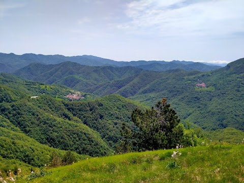 Pian Della Cavalla