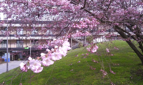 International Training Centre of the ILO