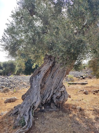 Masseria Guendalina