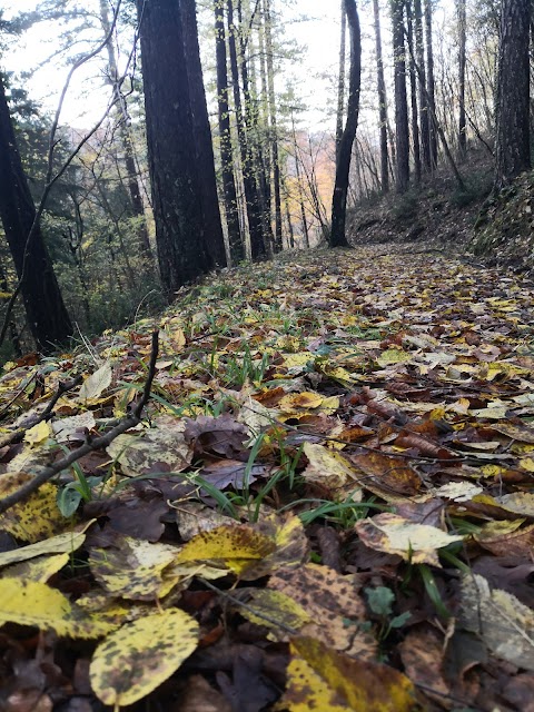 Monte Della Croce