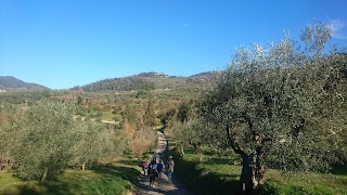 Agriturismo Il Colle