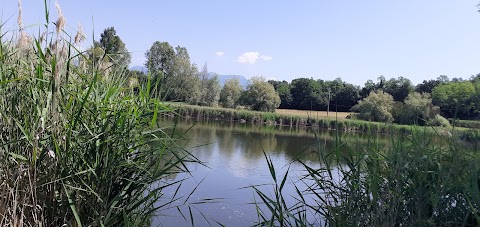 Ristorante Fior di Loto - Selezioniamo Carni pregiate