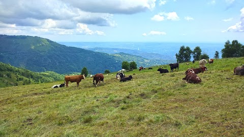 The Walking Bob - Escursioni & Trekking