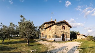 Agriturismo la collina degli ulivi