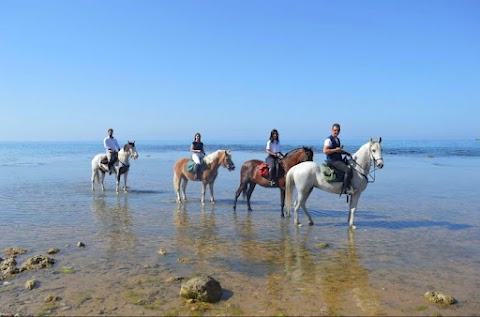 HERBESSUS A CAVALLO - CENTRO IPPICO- ESCURSIONI A CAVALLO