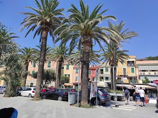 Nuova Nettuno