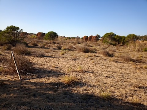 il canneto di selinunte