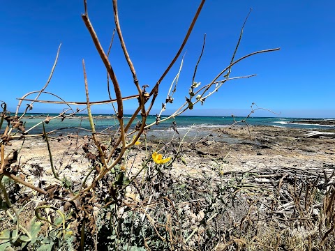 Riserva Naturale Torre Guaceto