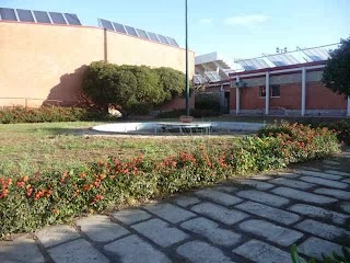 Centro Federale, Lotta Club Jonio, Palestra atletica pesante