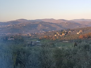 BAR GIANNI di Focardi Gianni