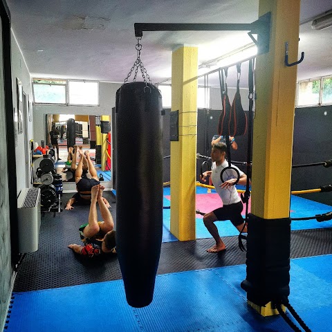 Accademia Cremona MIXED MARTIAL ARTS, KICKBOXING & FUNCTIONAL TRAINING