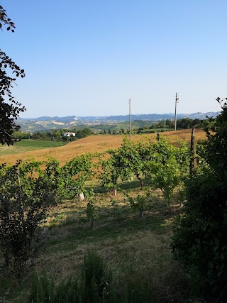 Tenuta Montecatone