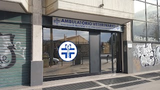 Studio Veterinario Terlizzi