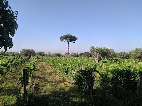 Tenuta Re Ferdinando