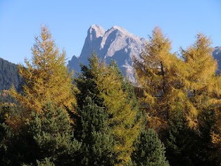 Taxi Günter Brixen