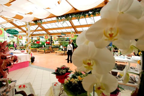 Viridea Garden Center Rodano (MI)