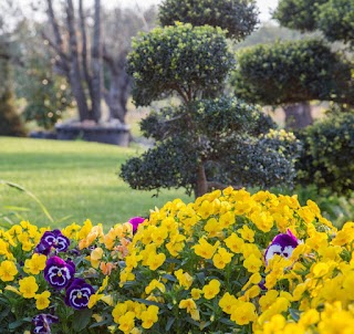 Capponi Giardini