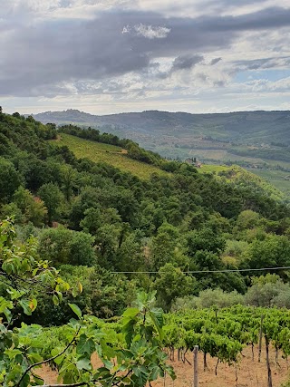 Agriturismo Poggio All`Olmo