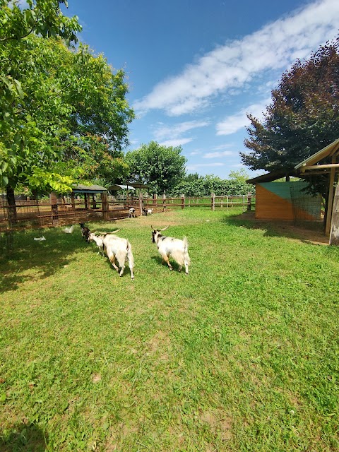 Agriturismo Al Borgo