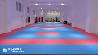 Accademia del Karate Esposito