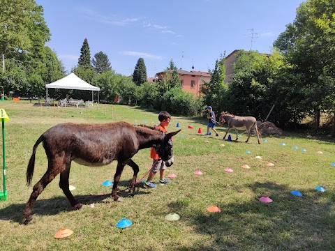 Fattoria di animazione ambientale L'Asino dell'Ariosto