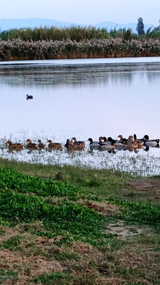 Arcieri Del Barco Reale