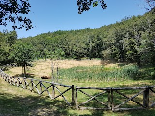 Lago Degli Idoli