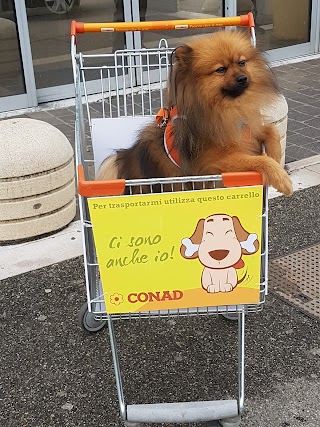 CONAD SUPERSTORE