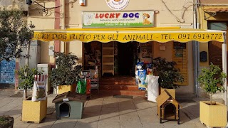 Lucky Dog -Tutto Per Animali