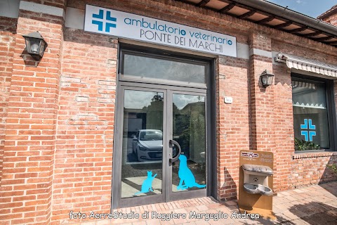 Clinica Veterinaria Ponte dei Marchi