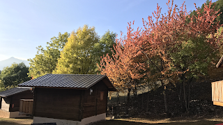 La ferme de Belline