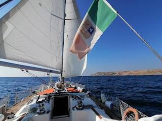 Barca a Vela Sula III