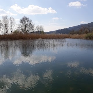 Oasi WWF Bosco del Bottaccio