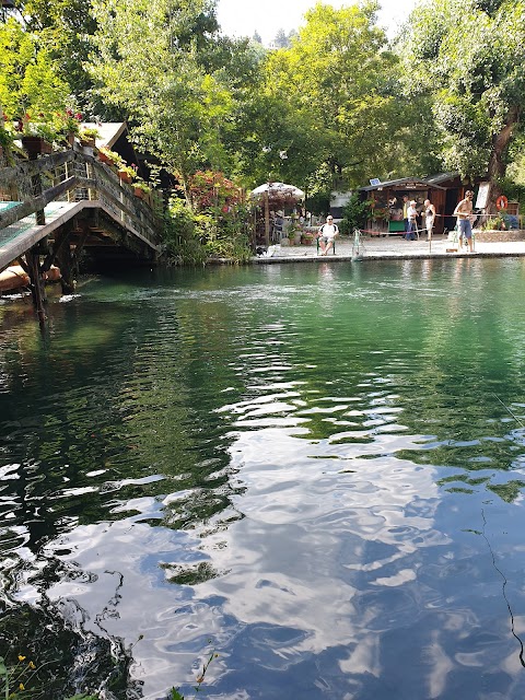 IL LIDO Fanano - Laghetto di pesca sportiva, bar, ristorante