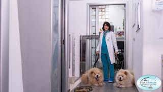 Clinica veterinaria Animal Care