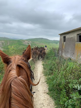 Sporting Club Trinacria ASD Equestre