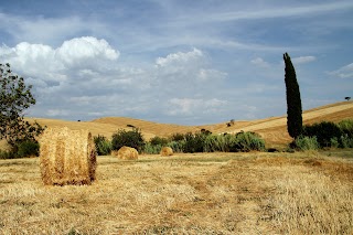 Azienda Agricola Gambicorti