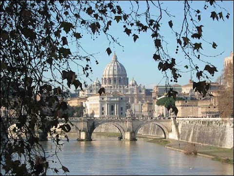 Zaffiro Noleggio | Ncc Roma | Transfer Aeroporti e Stazioni | Servizi Matrimoni ed Eventi | Convegni | Trasferimenti su tutto il Territorio Nazionale