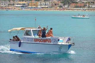 Escursioni in barca con Hippocampus - Riserva Zingaro San Vito Lo Capo
