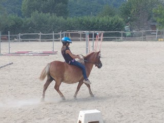 Horsewood Riding Club Asd