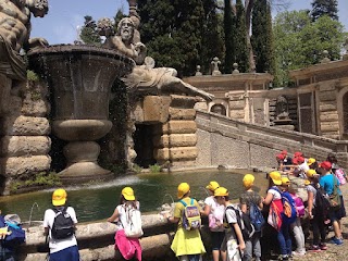 Guide Turistiche Viterbo